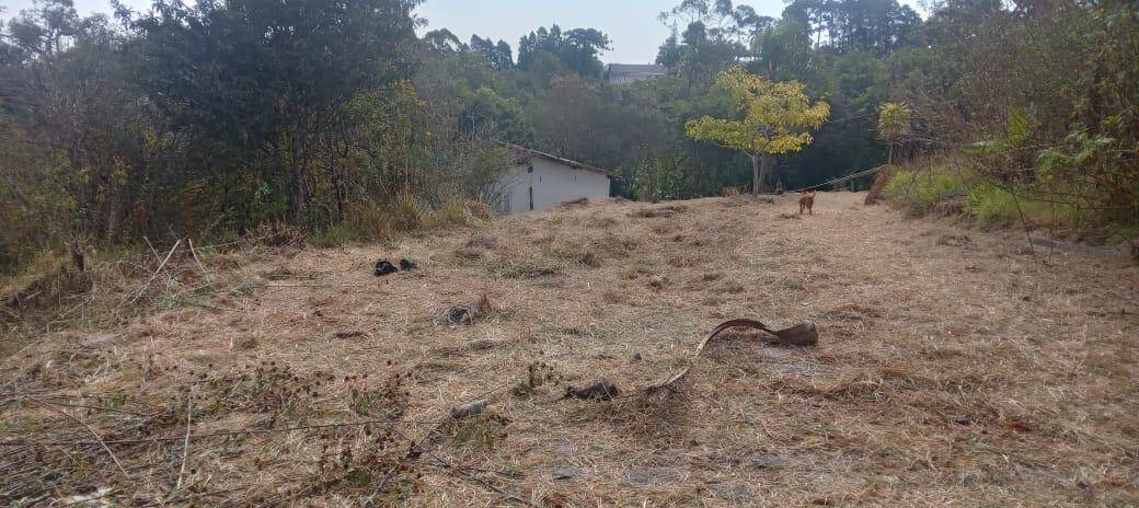Terreno, 21 hectares - Foto 4