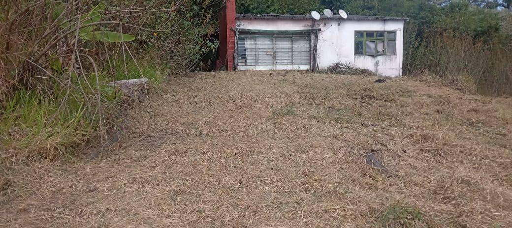 Terreno, 21 hectares - Foto 5