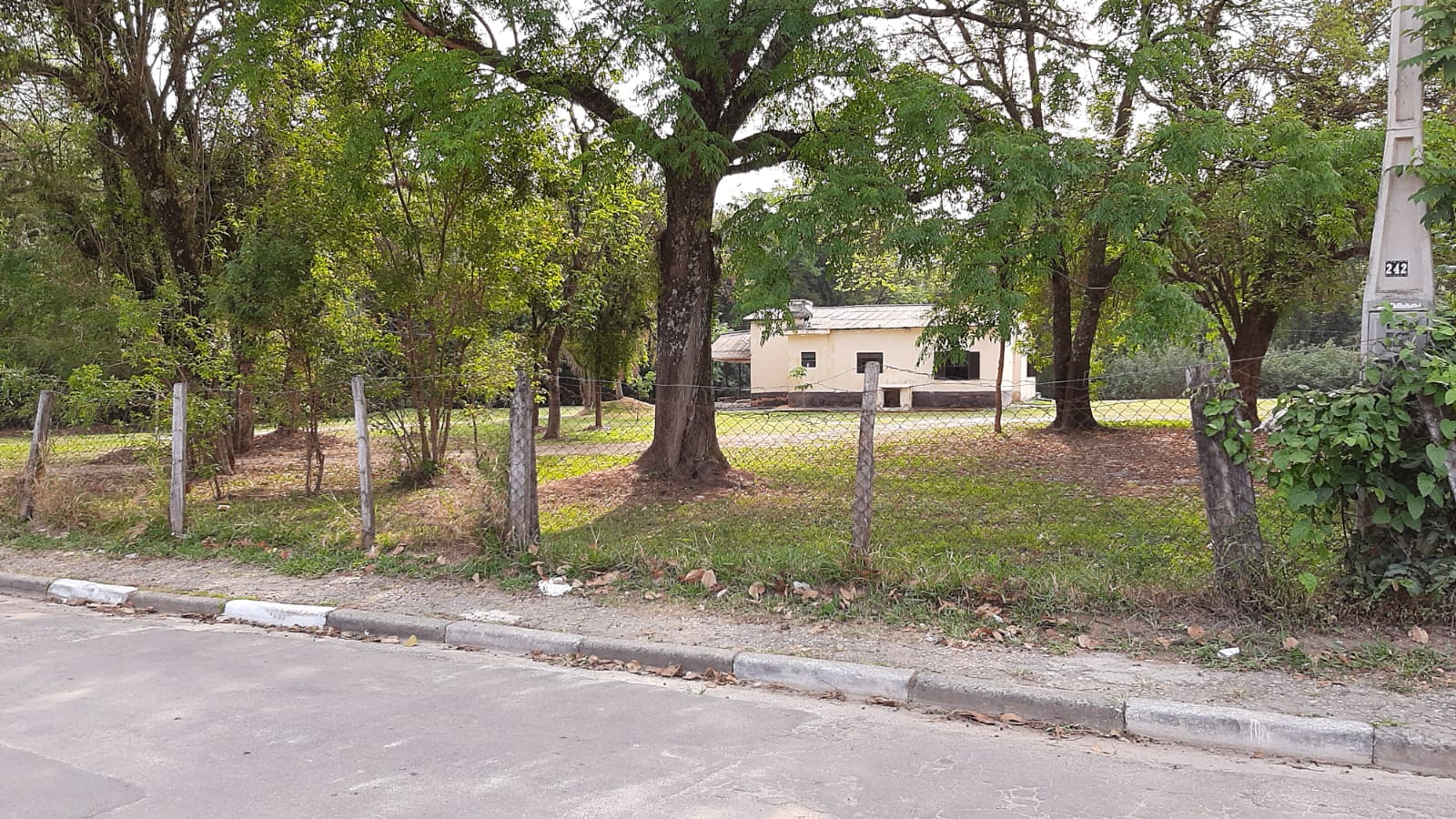 Terreno, 5186 m² - Foto 3