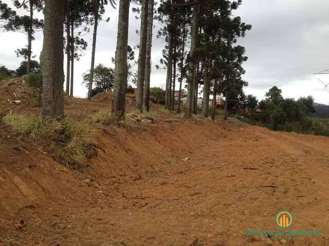 Área para Venda em Cotia - 4