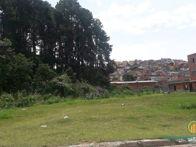 Área para Venda em Cotia - 5