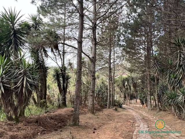 Área para Venda em Cotia - 4