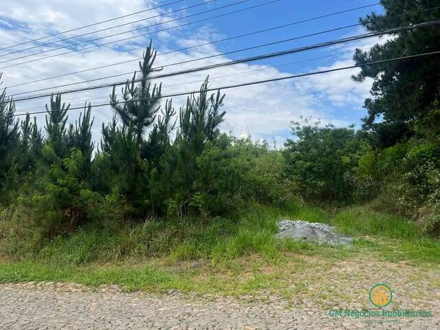 Área para Venda em Cotia - 4