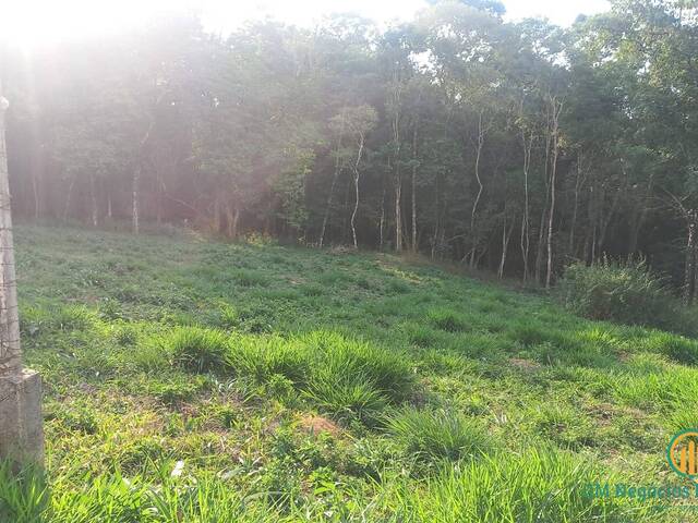#W2650 - Área para Venda em São Roque - SP
