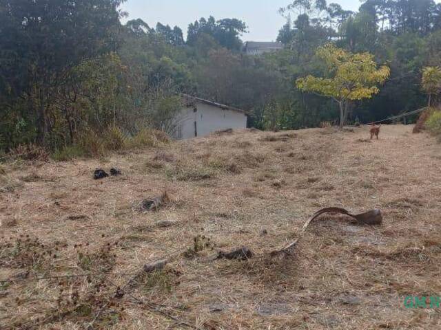 #W2682 - Área para Venda em São Roque - SP