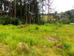 Terreno para Venda em Cotia - 3