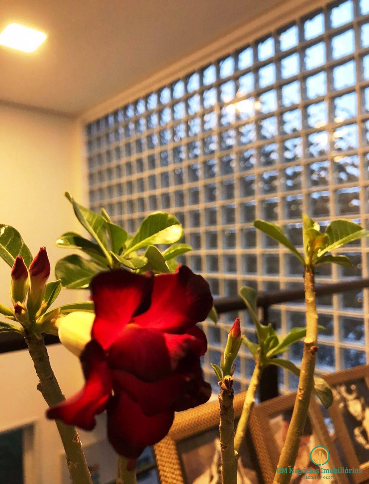 Casa de Condomínio à venda e aluguel com 2 quartos, 300m² - Foto 42