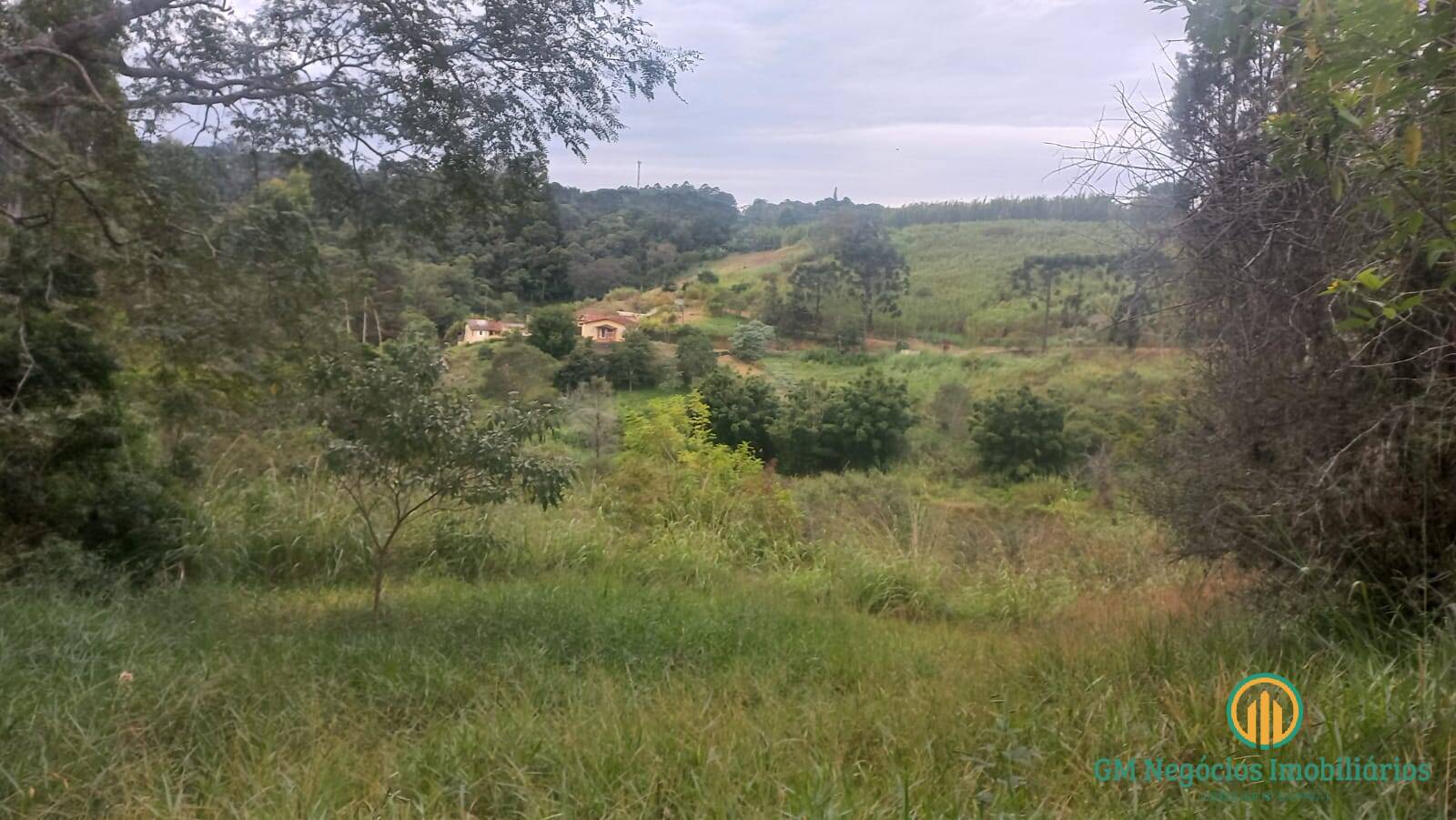 Terreno à venda, 47000m² - Foto 6