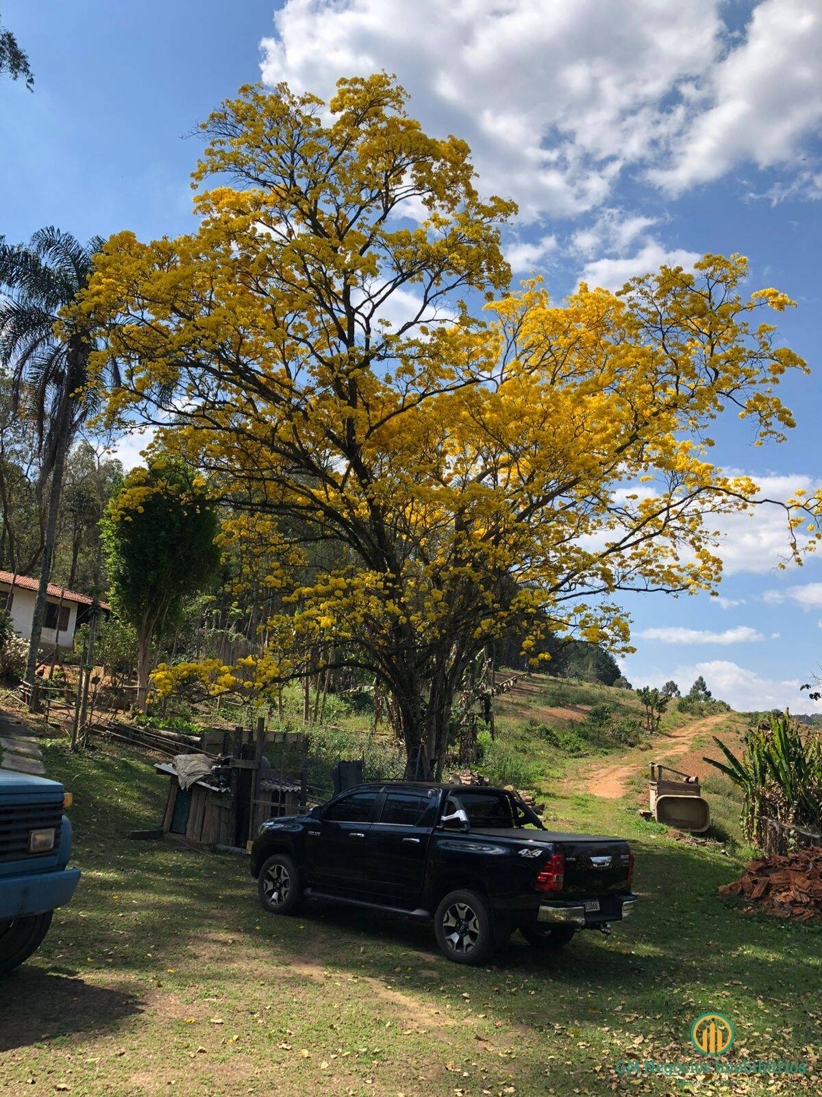 Terreno, 7 hectares - Foto 1