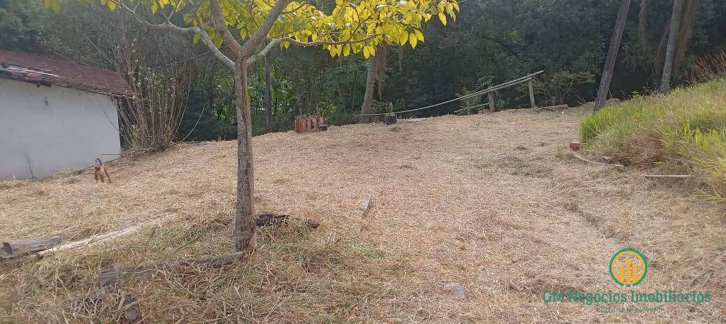 Terreno, 21 hectares - Foto 7