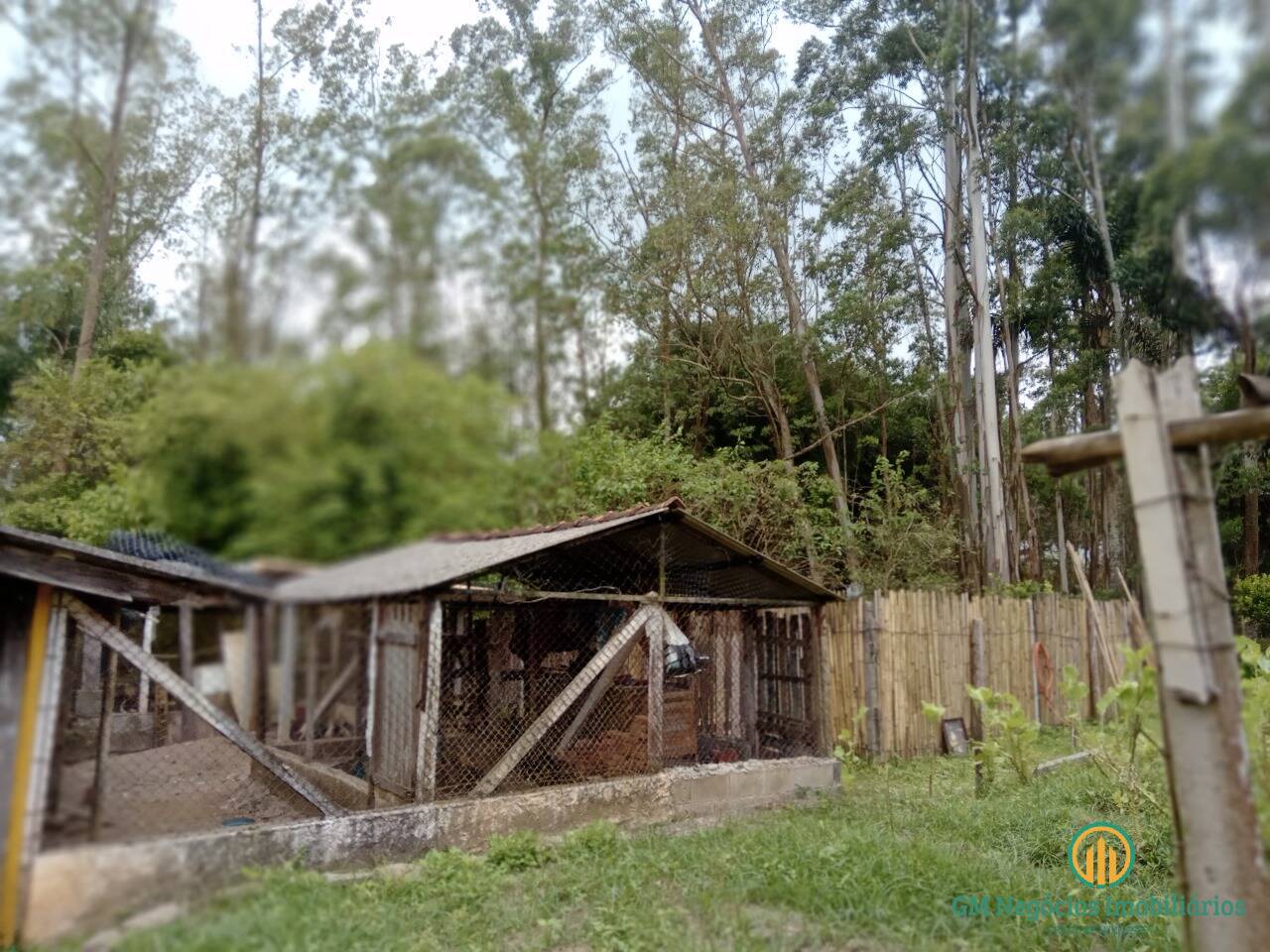 Chácara, 2 quartos, 7627 m² - Foto 12