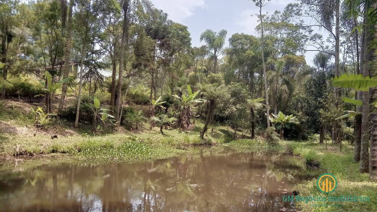 Chácara, 2 quartos, 7627 m² - Foto 10