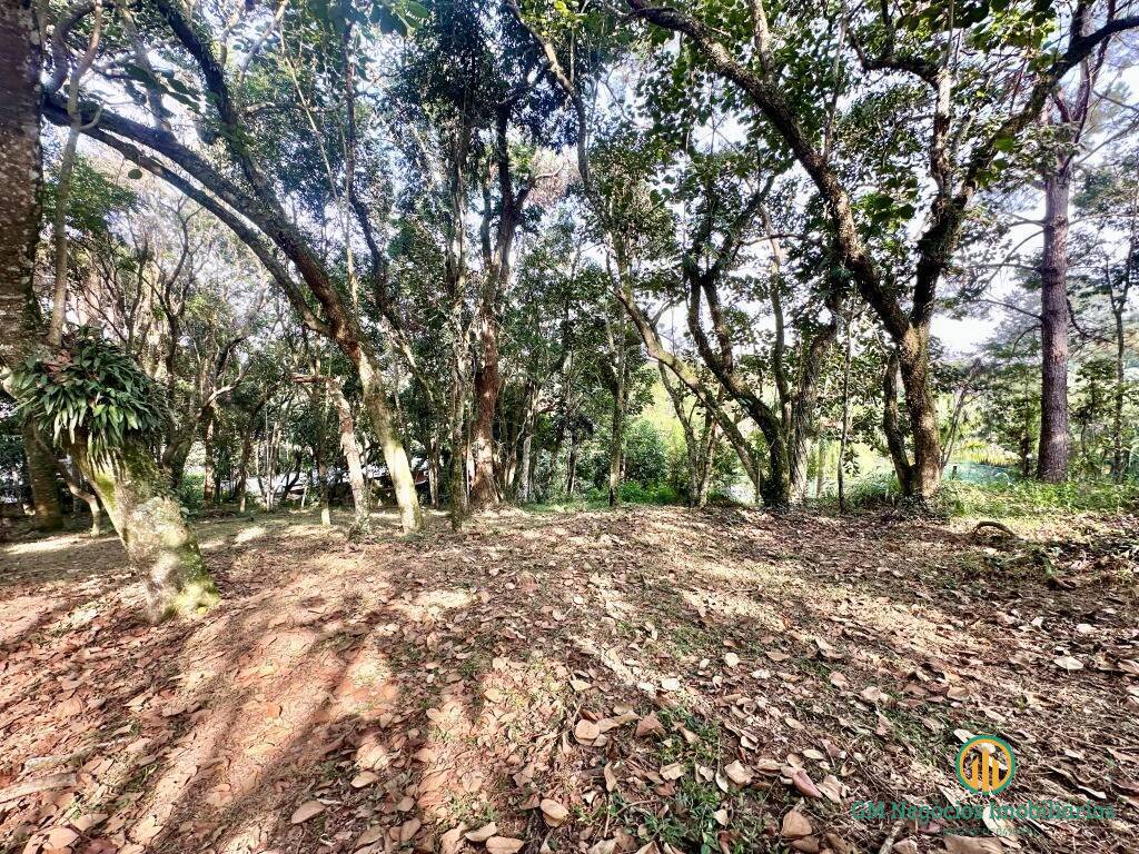 Terreno, 1472 m² - Foto 4